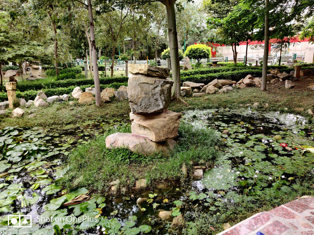 JP Park景点图片