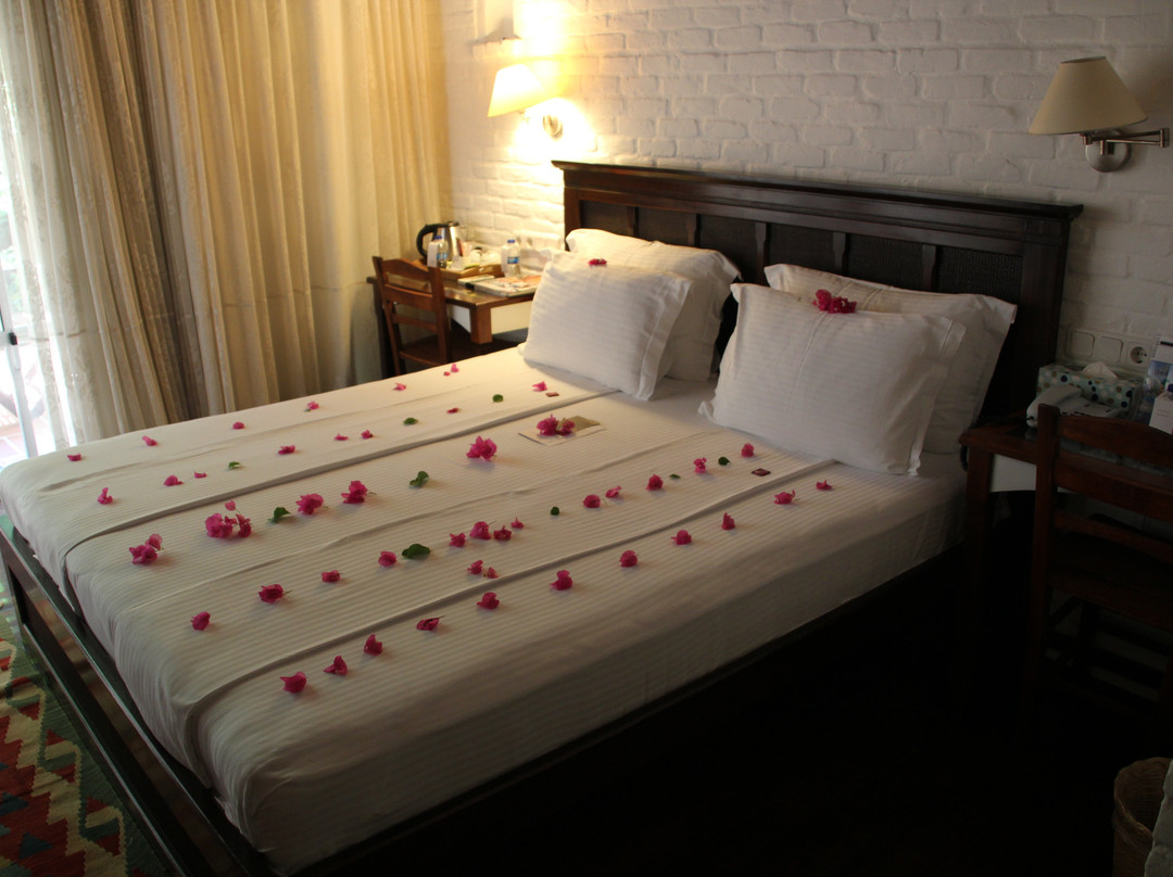 艾莉维诺套房酒店主图