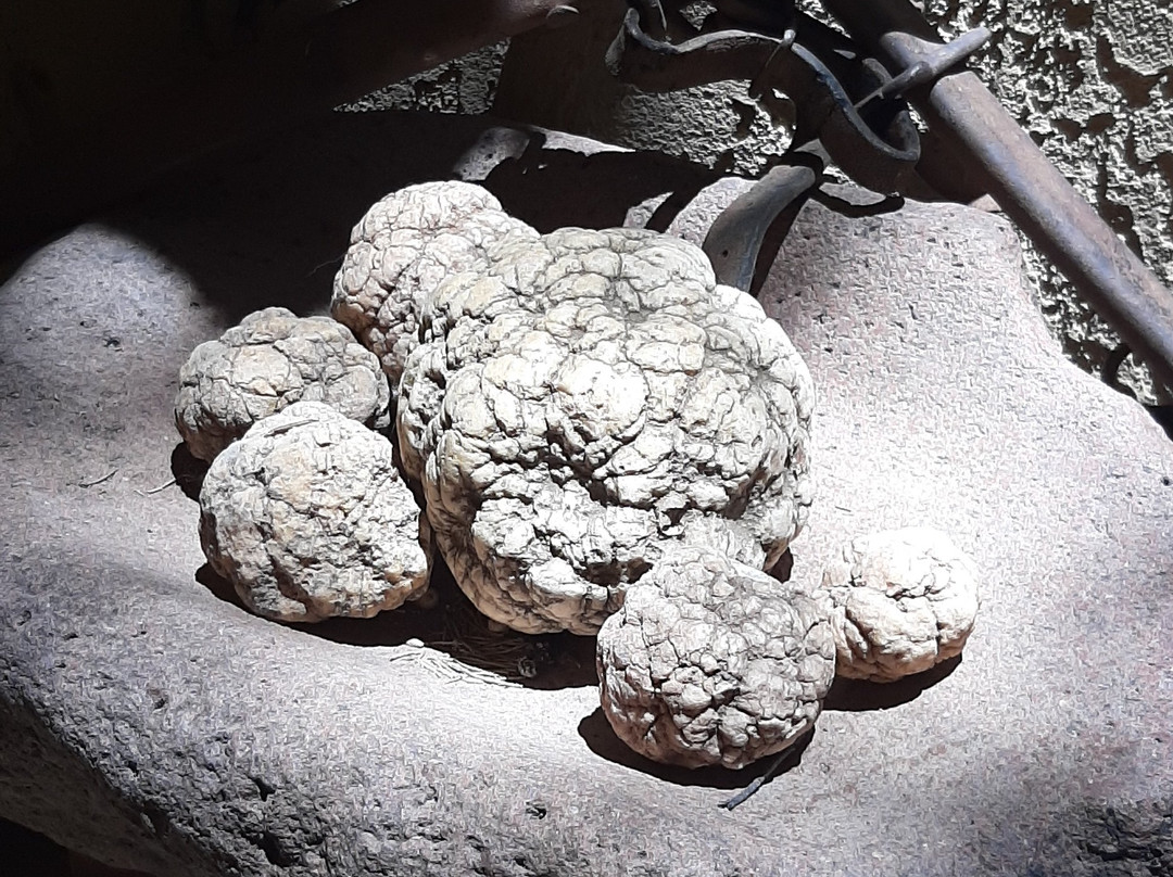 Arcosanti-天堂谷必去景点