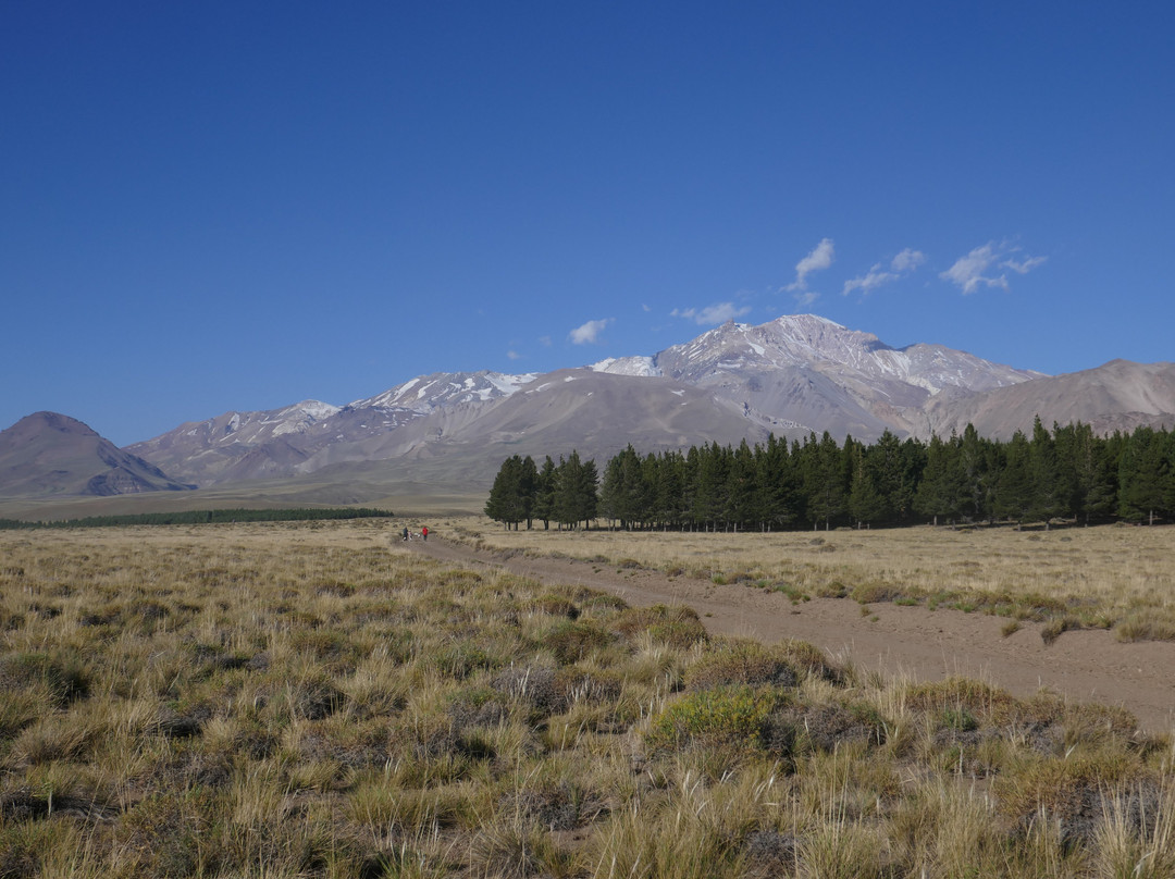 Volcan Dumuyo景点图片