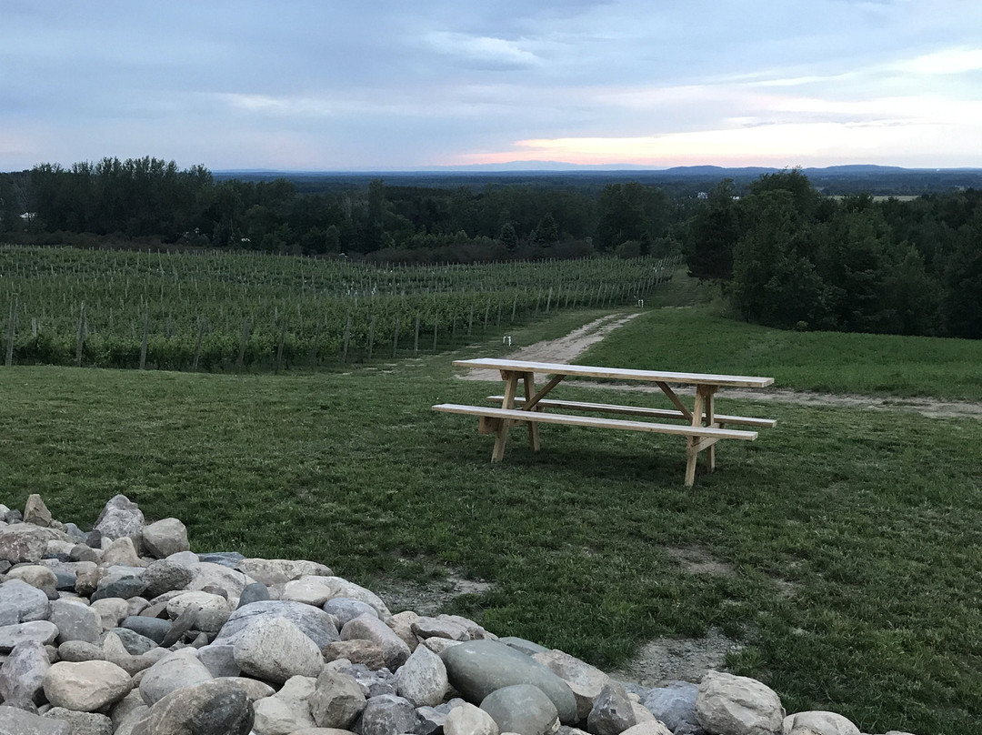 Rove Winery at the Gallagher Estate-特拉弗斯城必去景点