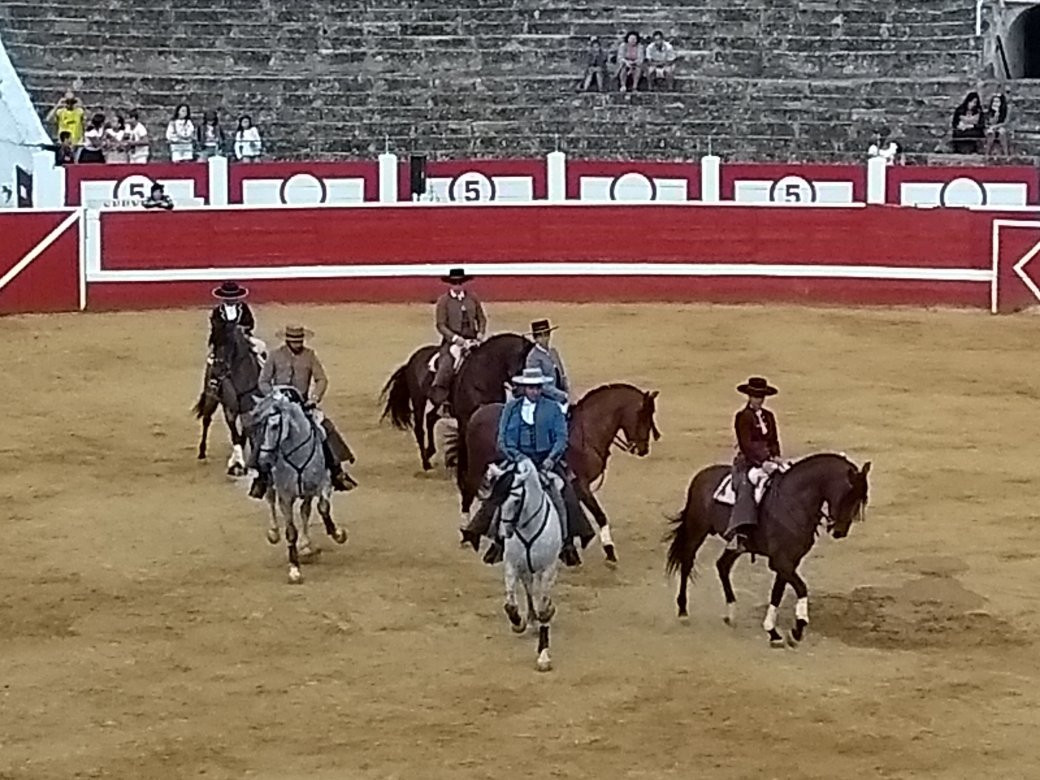 Plaza de Toros Los Rosales-哈罗必去景点