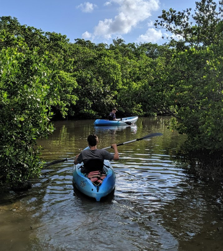 Seaside Kayaking-博尼塔斯普林斯必去景点