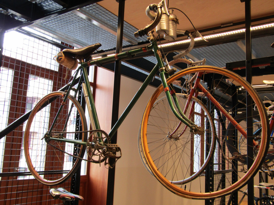 KOERS. Museum van de Wielersport景点图片