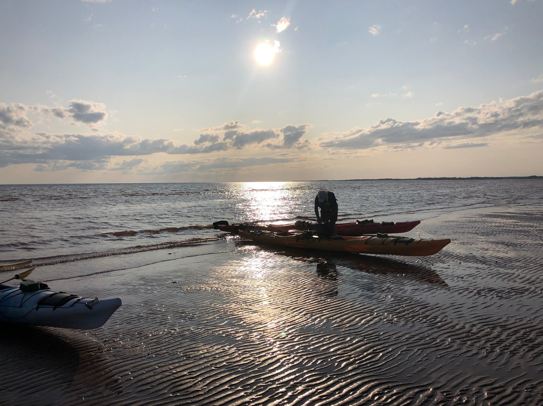 By The Sea Kayaking景点图片