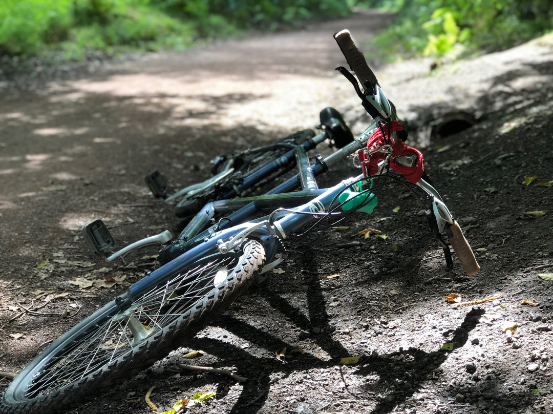 Forest of Dean Cycle Centre-Coleford必去景点