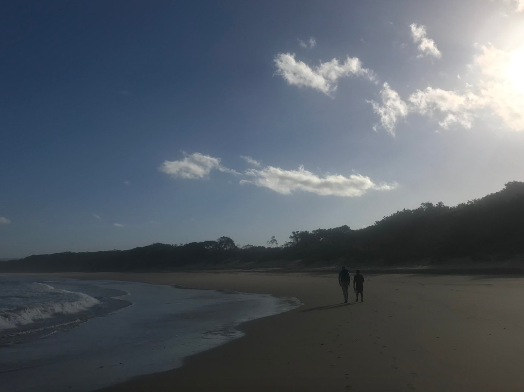 Wild Side Hiking-Port St Johns必去景点