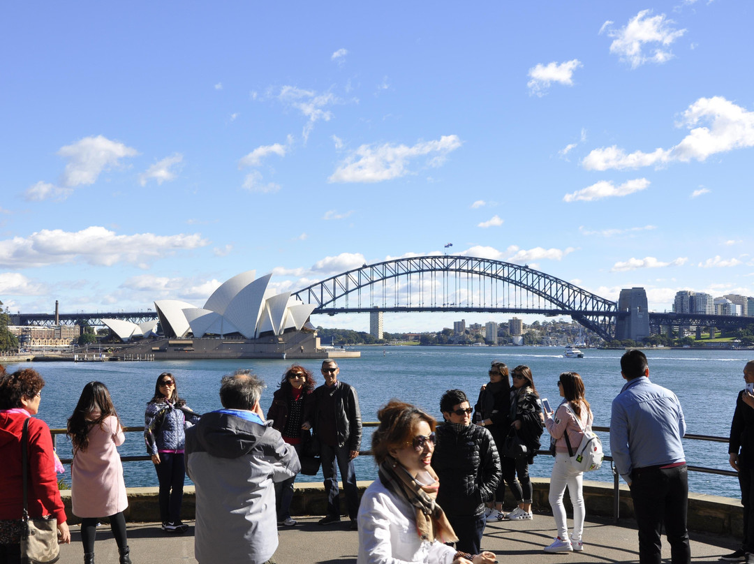 Sydney's Wonders Tours景点图片