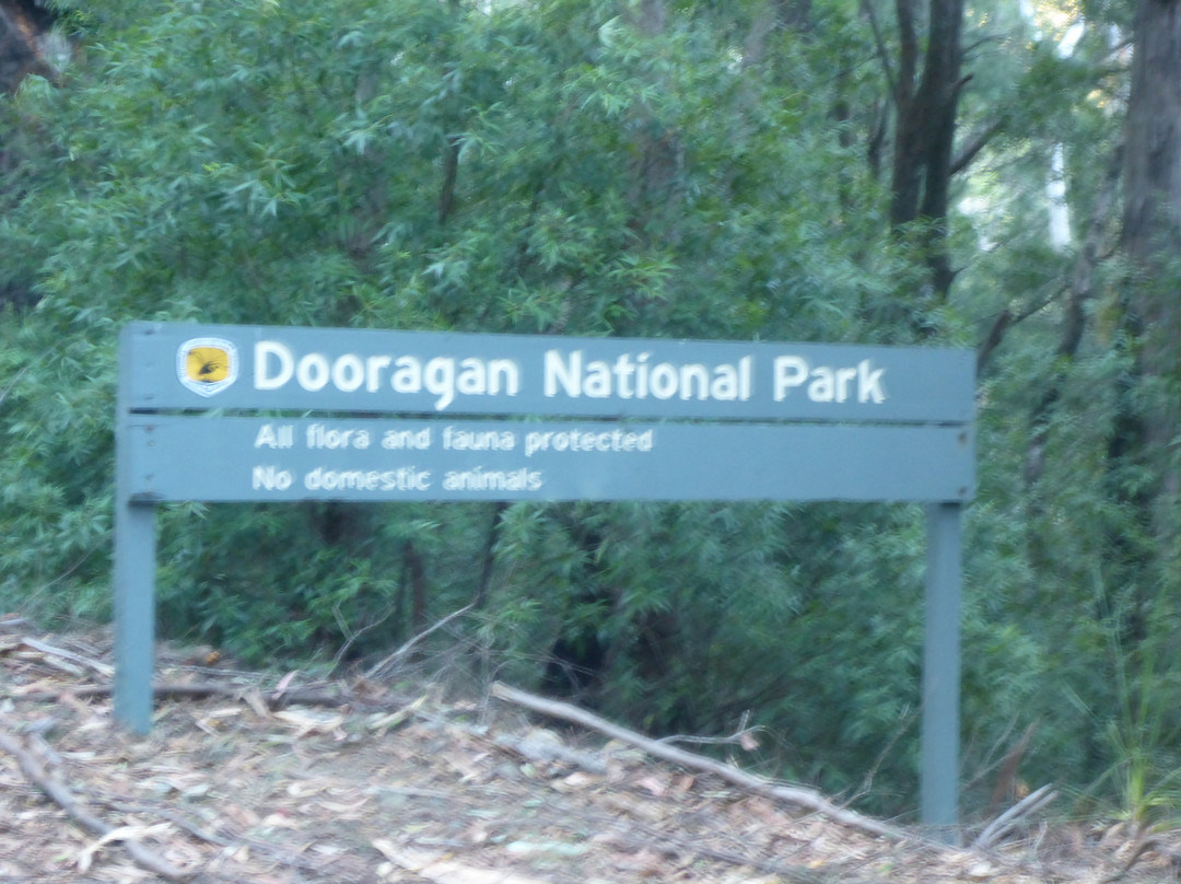 Dooragan National Park-Camden Haven必去景点