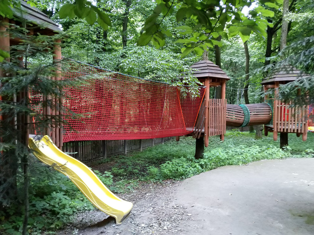 Resort Hotel Lisova Pisnia主图