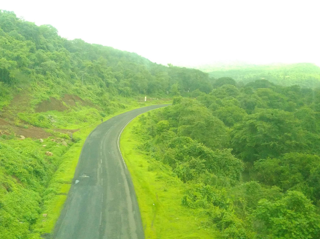 Konkan Railway景点图片