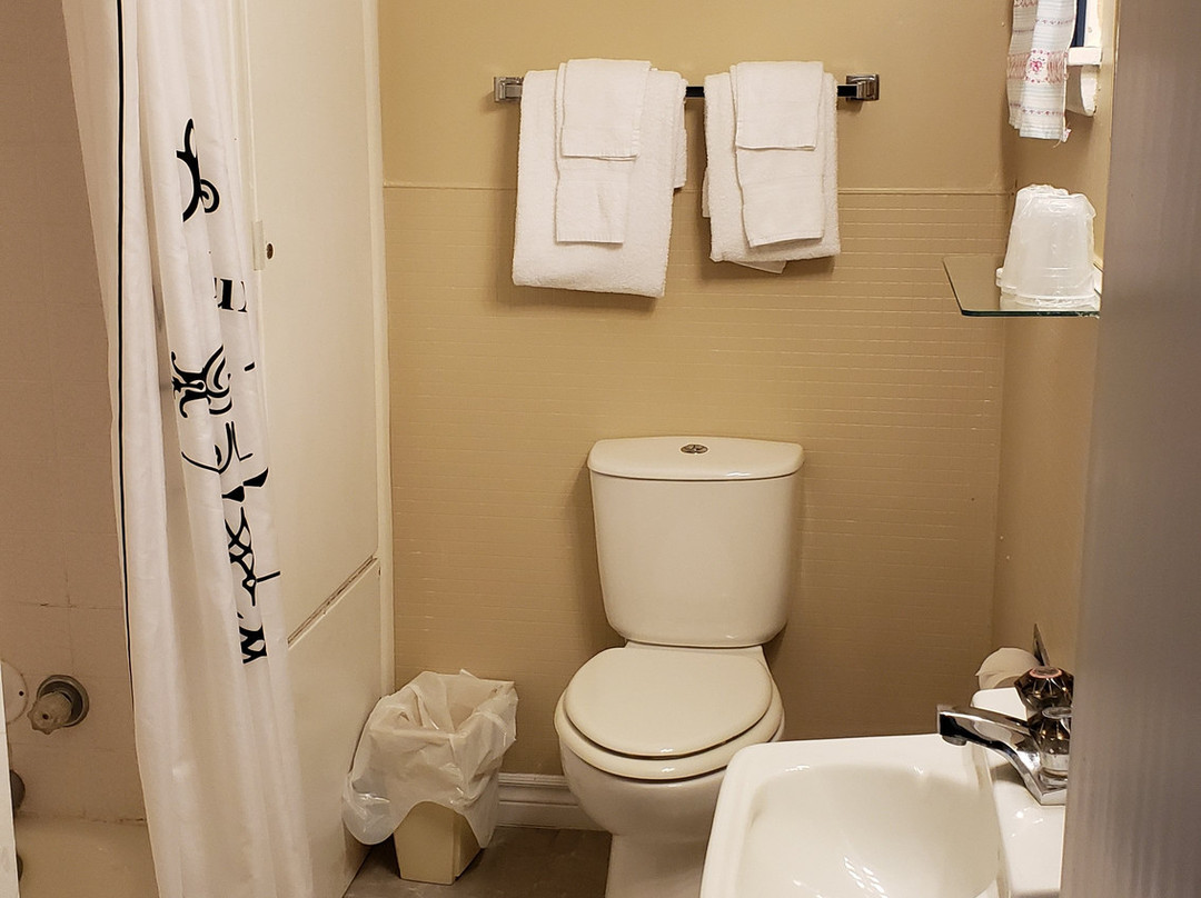 Pinecone Motel主图