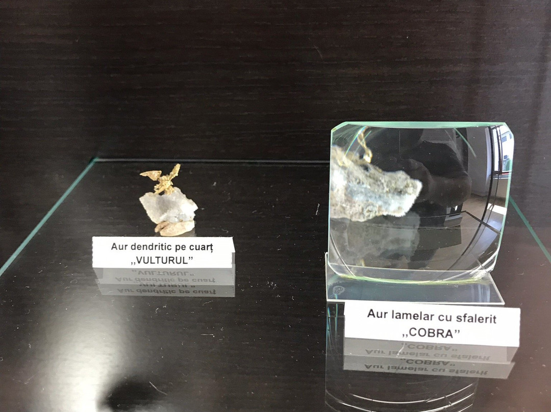 The Gold Museum-Brad必去景点