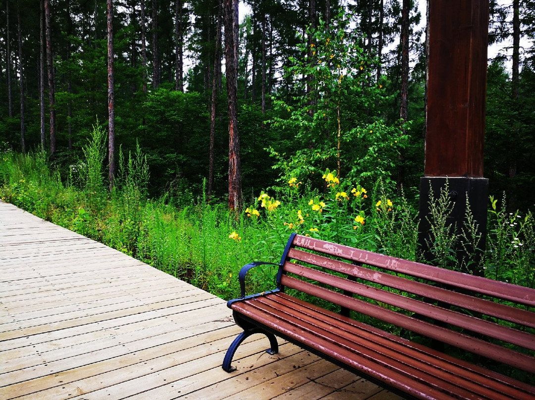 长白山鲁能·领寓主图