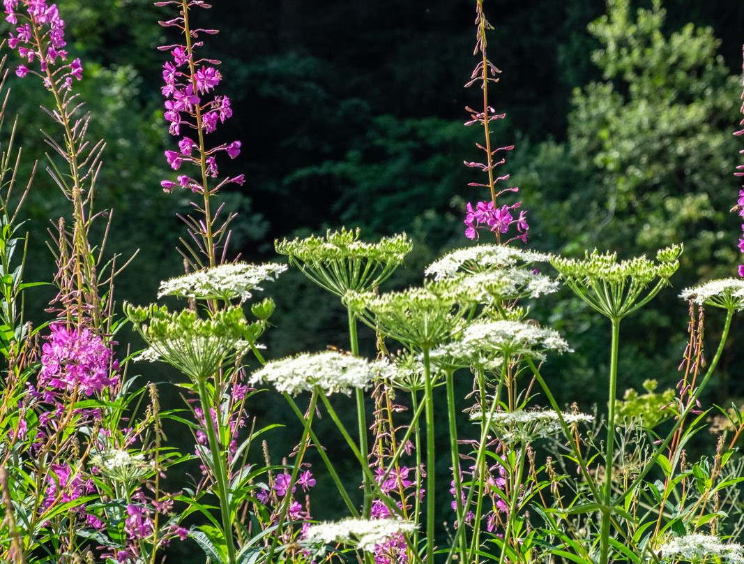 Bagni di Vinadio旅游攻略图片