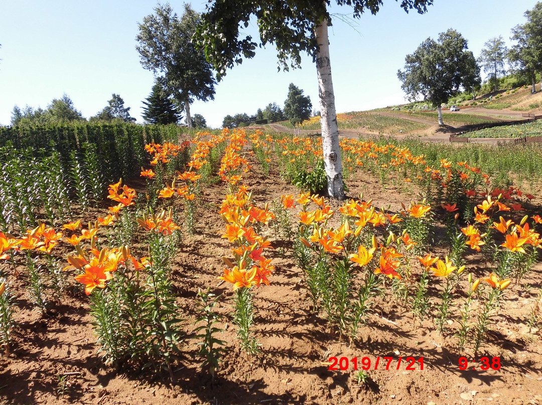 Yuri No Sato Koshimizu Lily Park-小清水町必去景点
