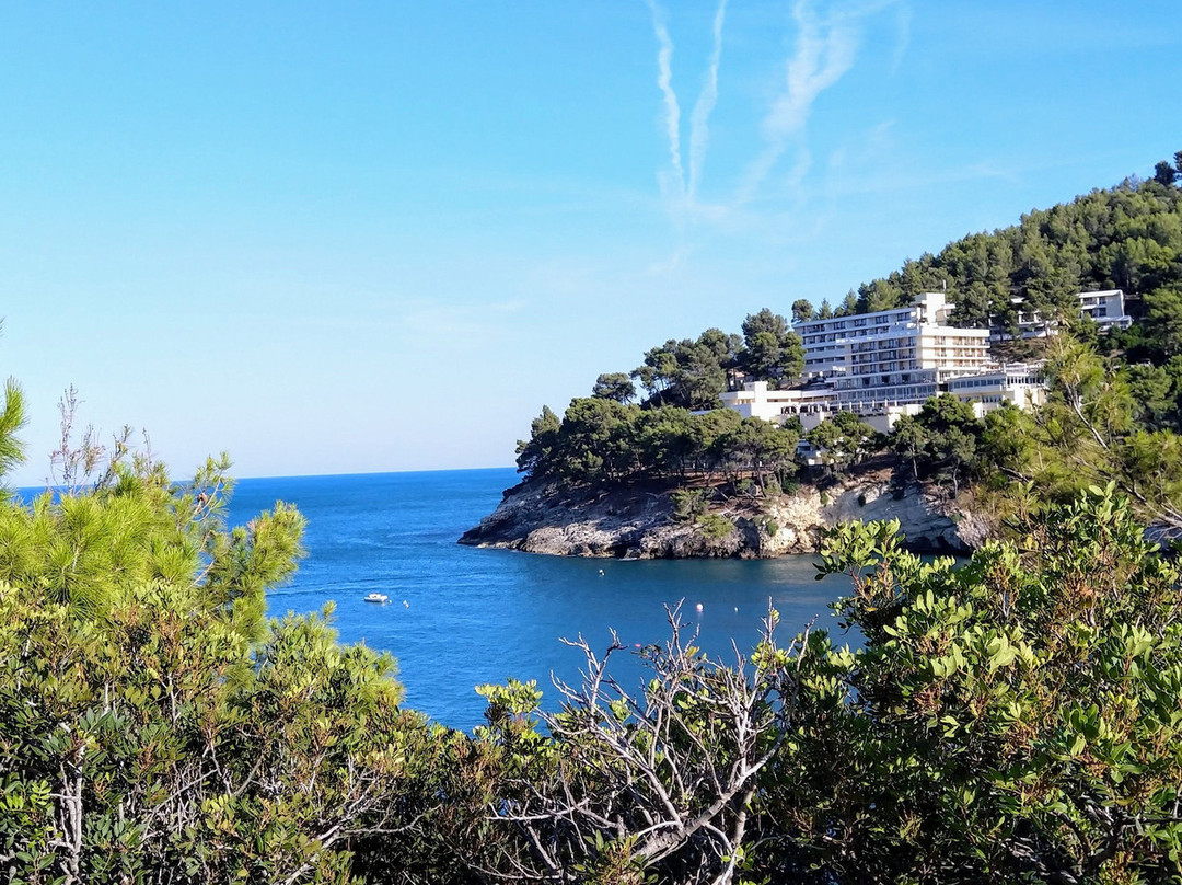 Hotel Degli Ulivi主图