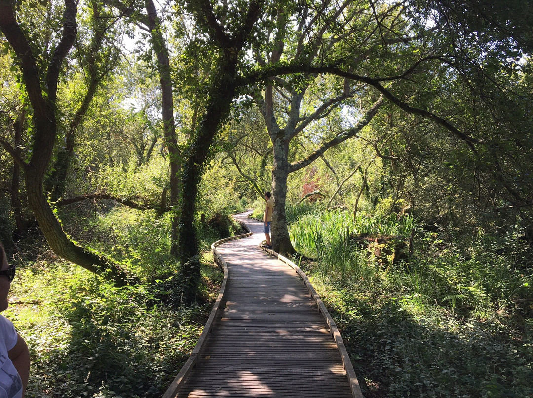 Le Marais de Trestel-Trevou-Treguignec必去景点