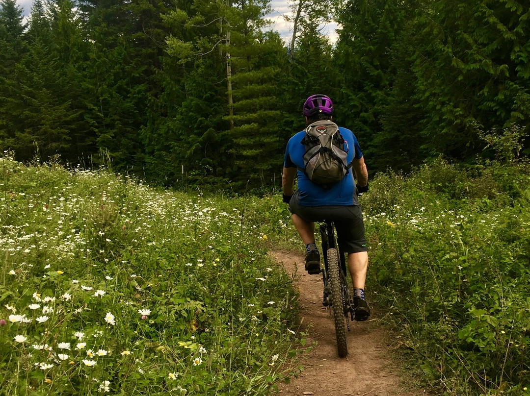 Mount Fernie Provincial Park景点图片