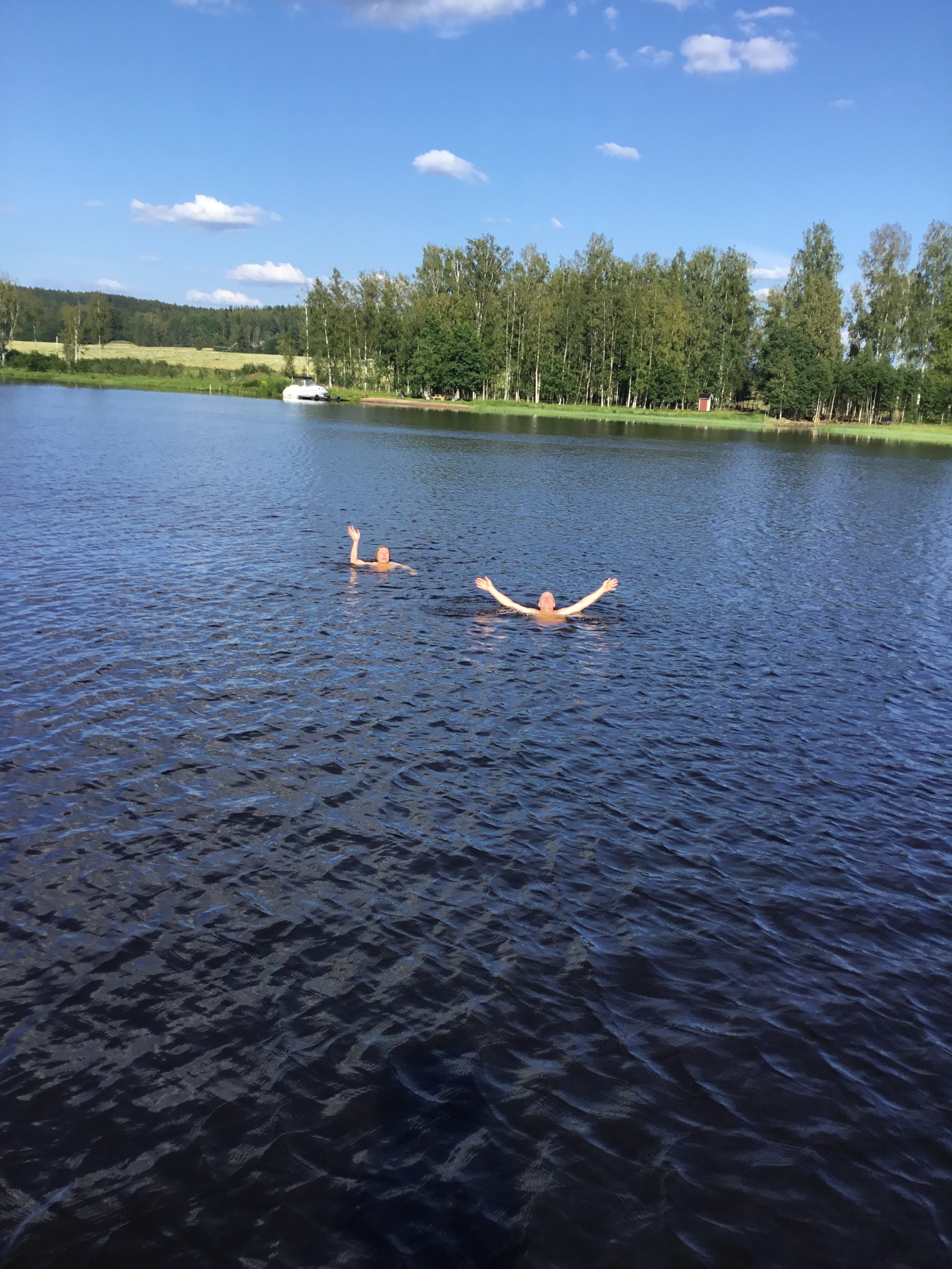 Ulvsby Herrgård-泳池