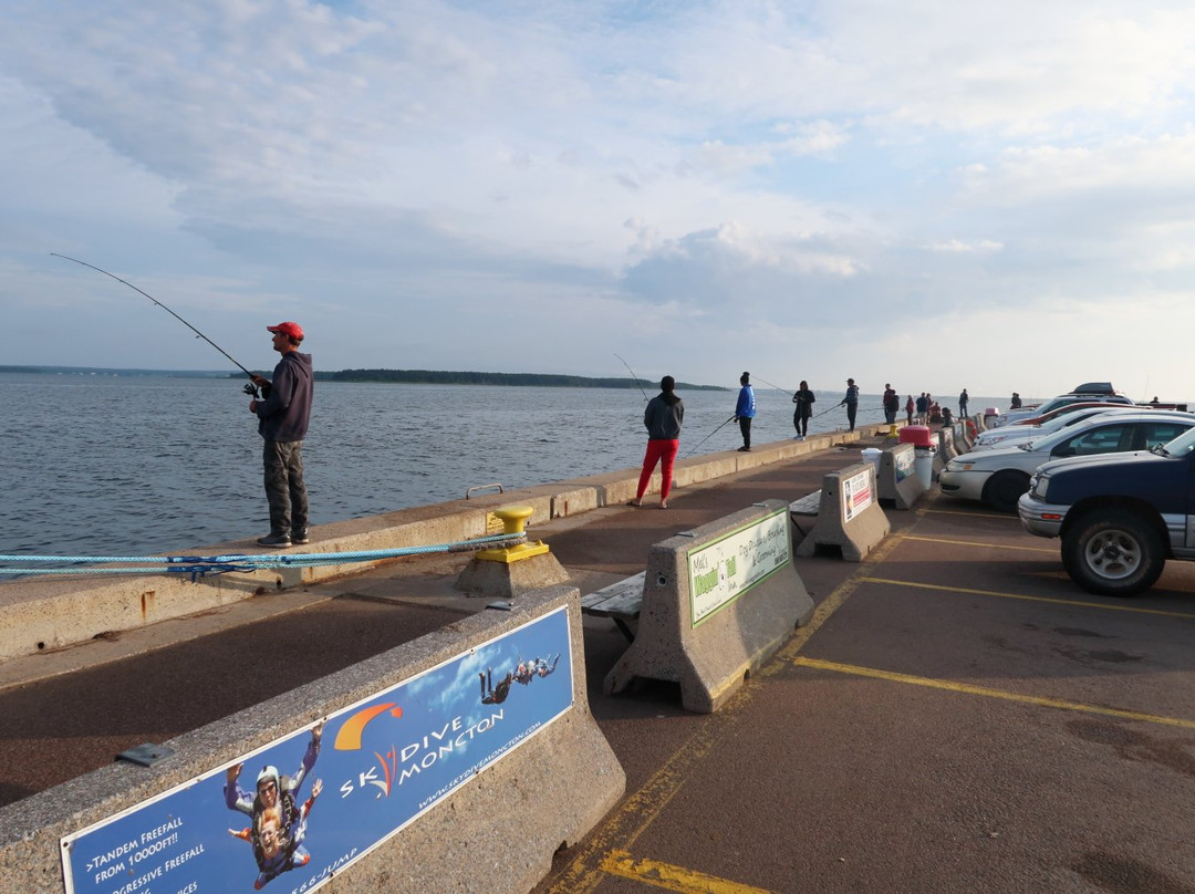 Pointe-Du-Chene wharf-Pointe-du-Chene必去景点