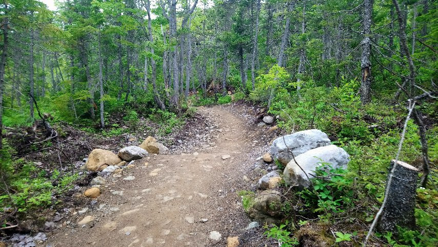 Lookout Hills Trail景点图片