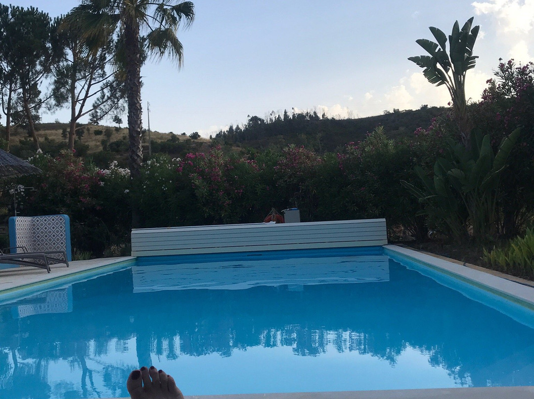 Casa do Palmeiral主图