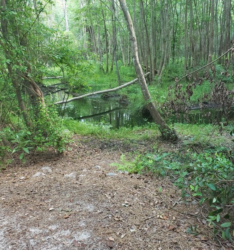 Reservoir Park景点图片