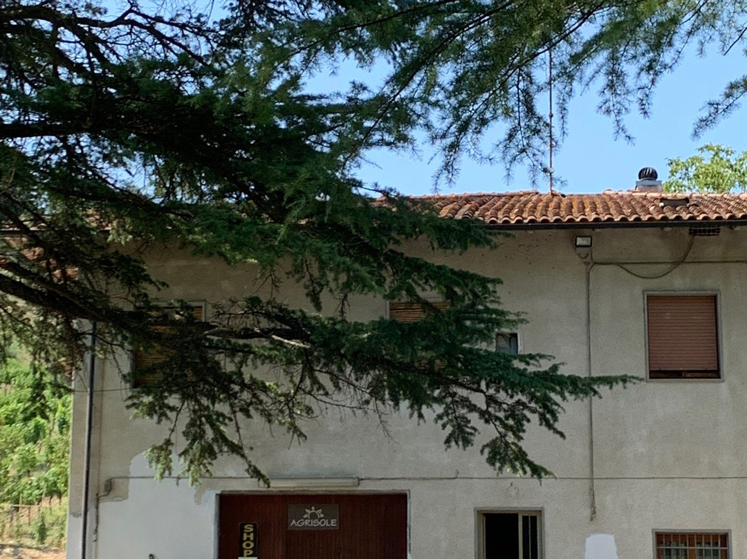 Podere Pellicciano Agrisole-圣米尼亚托必去景点