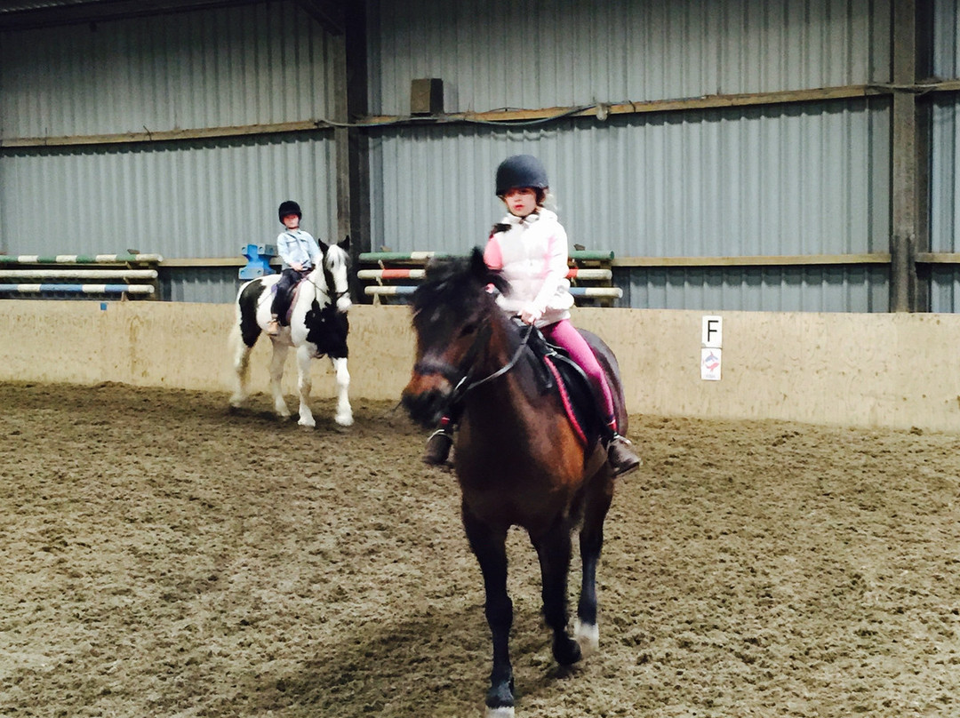 Aberconwy Equestrian Centre景点图片