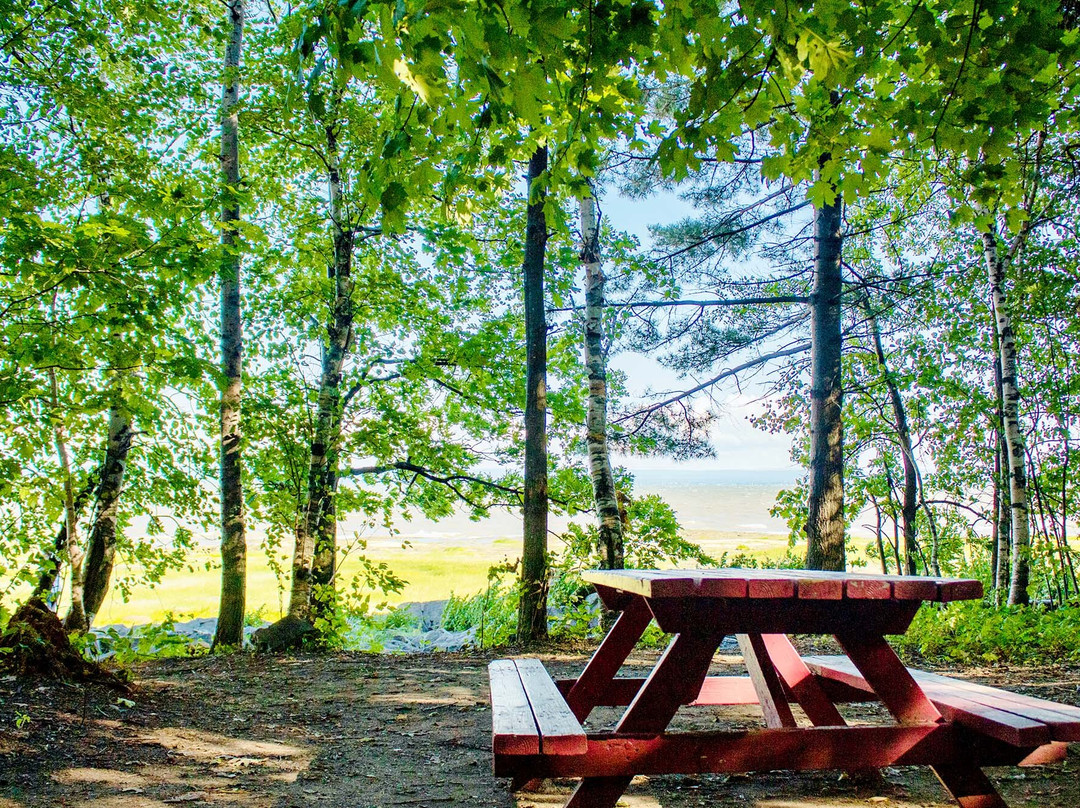 Camping de la Pointe