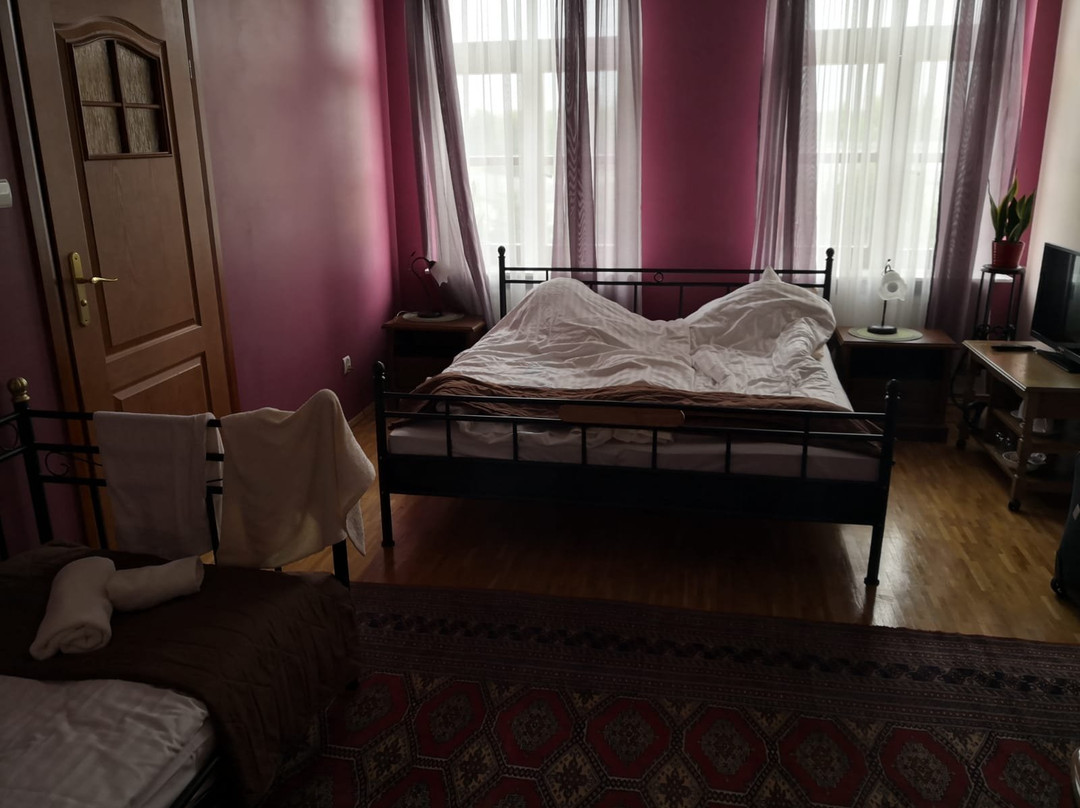 Pałac Mysliwski Słonowice主图