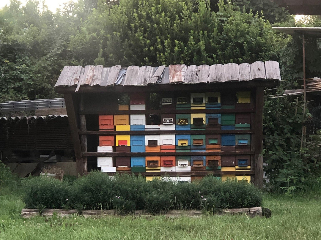 Farm stay Šibav B&B主图