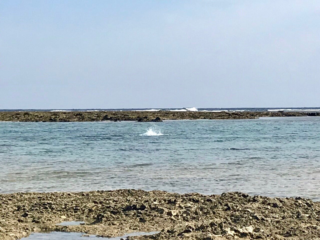 Odohama Beach-糸满市必去景点