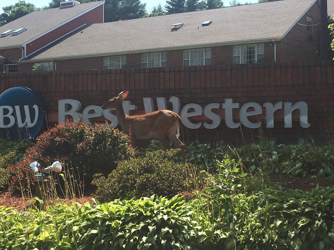 Best Western West Greenwich Inn主图