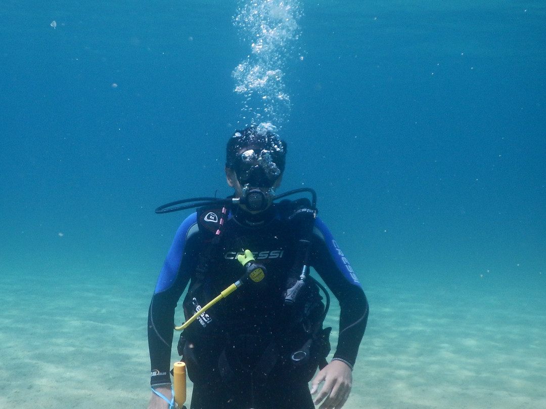 Shark Fin Scuba Diving Center-Agios Nikolaos必去景点