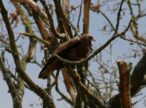 Marais du Grand Hazé-Briouze必去景点