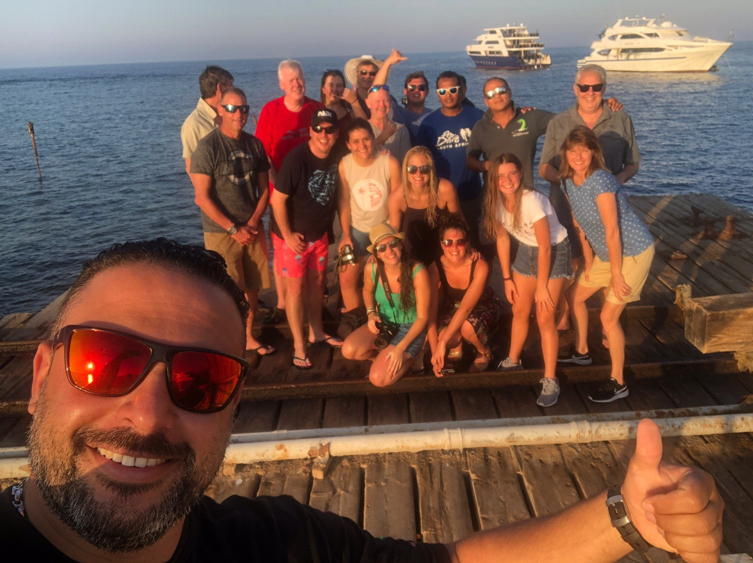 Pro Dive Centre-伊丽莎白港必去景点