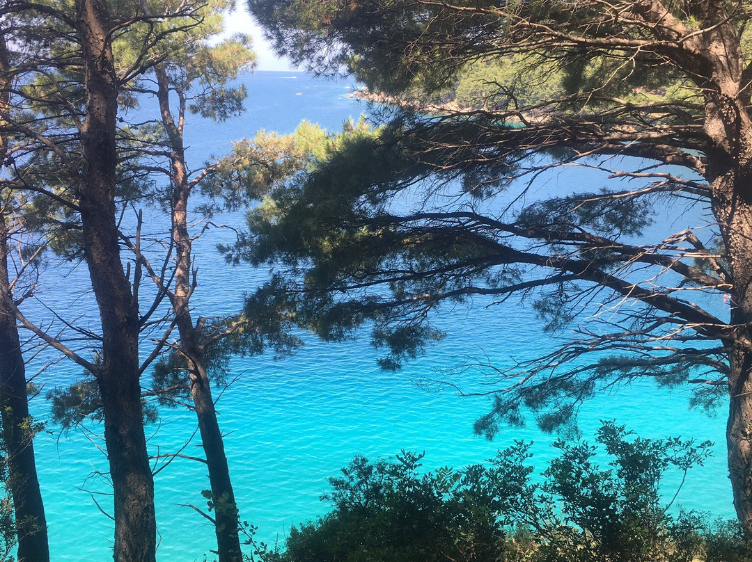 Duba beach-Zivogosce必去景点