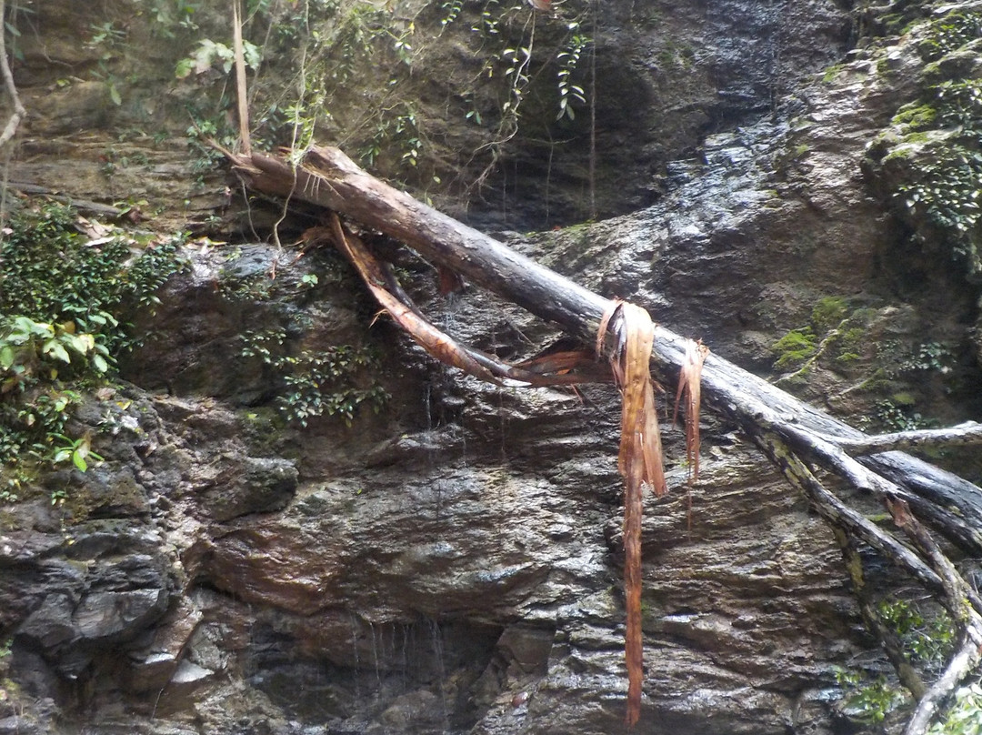 Lampi Waterfall-泰曼必去景点