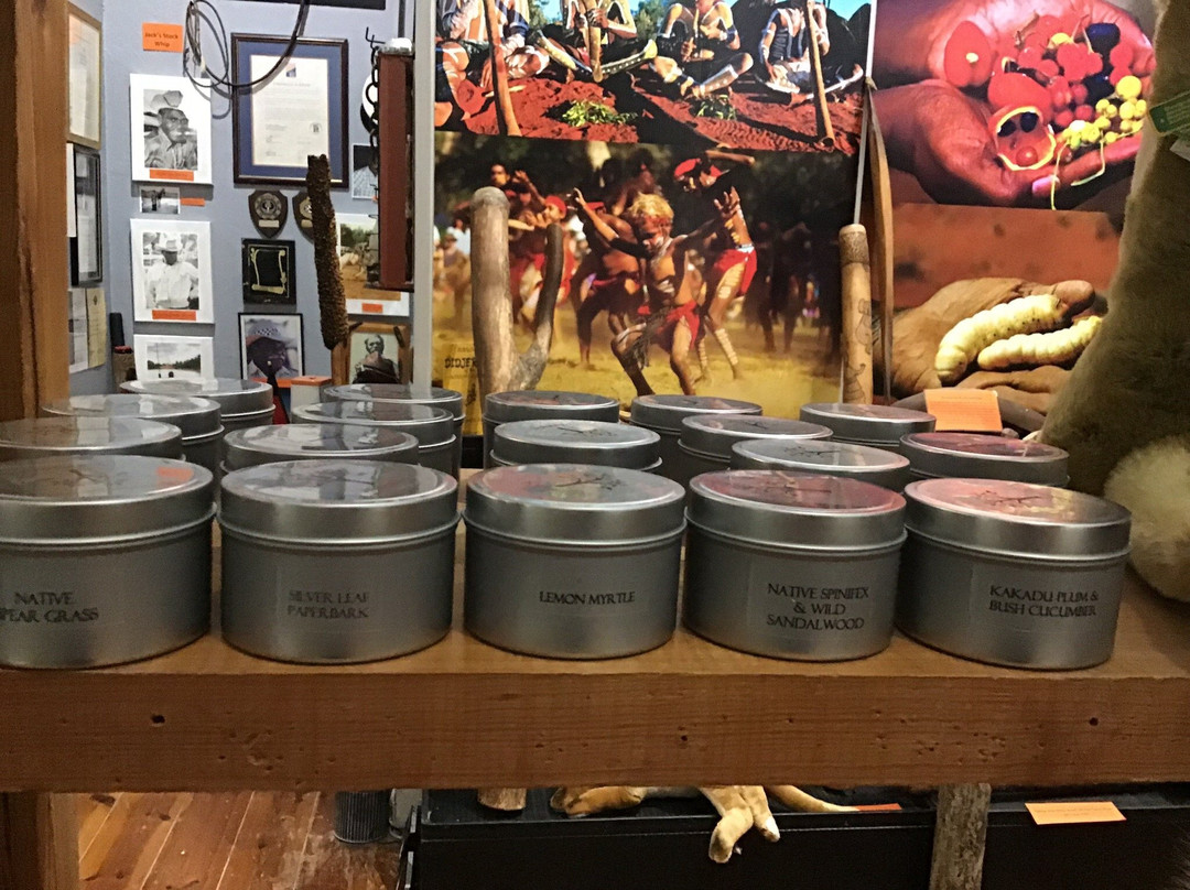 Dingo Dreaming-Blyth必去景点