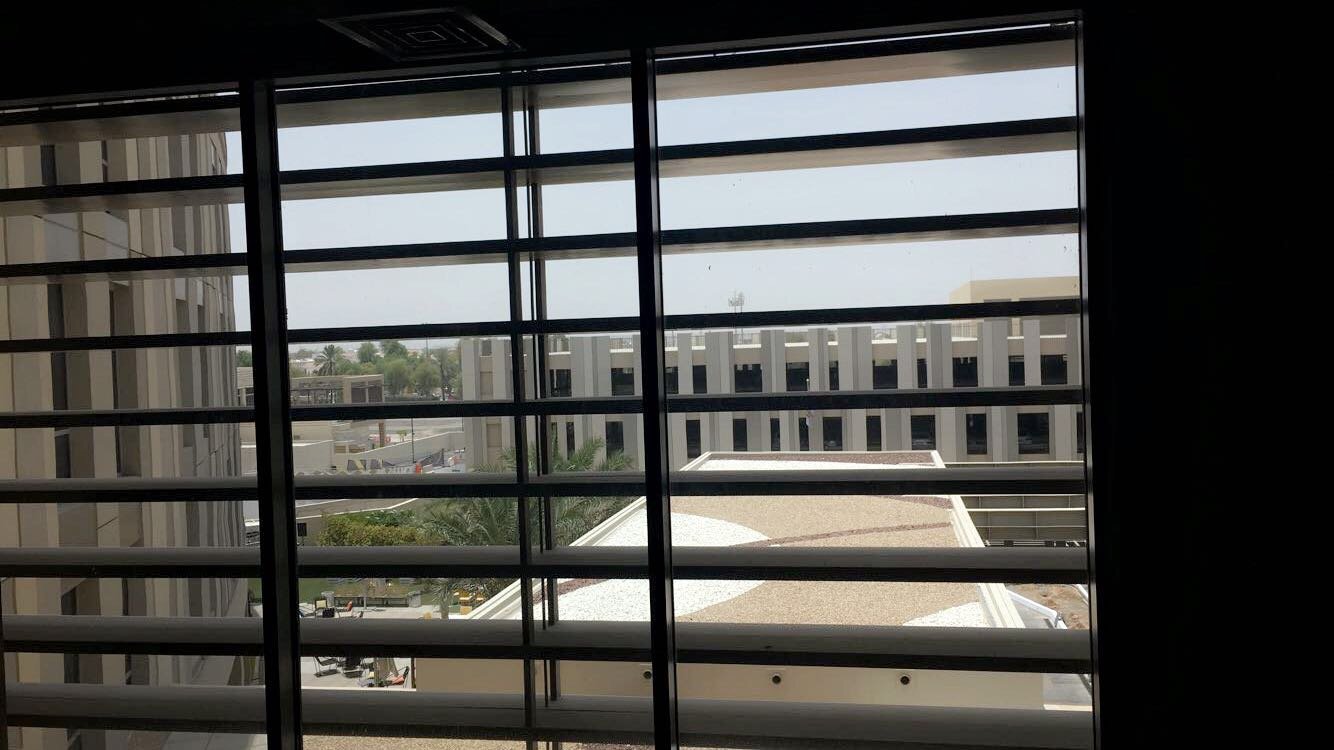 Aloft Al Ain-酒店景观