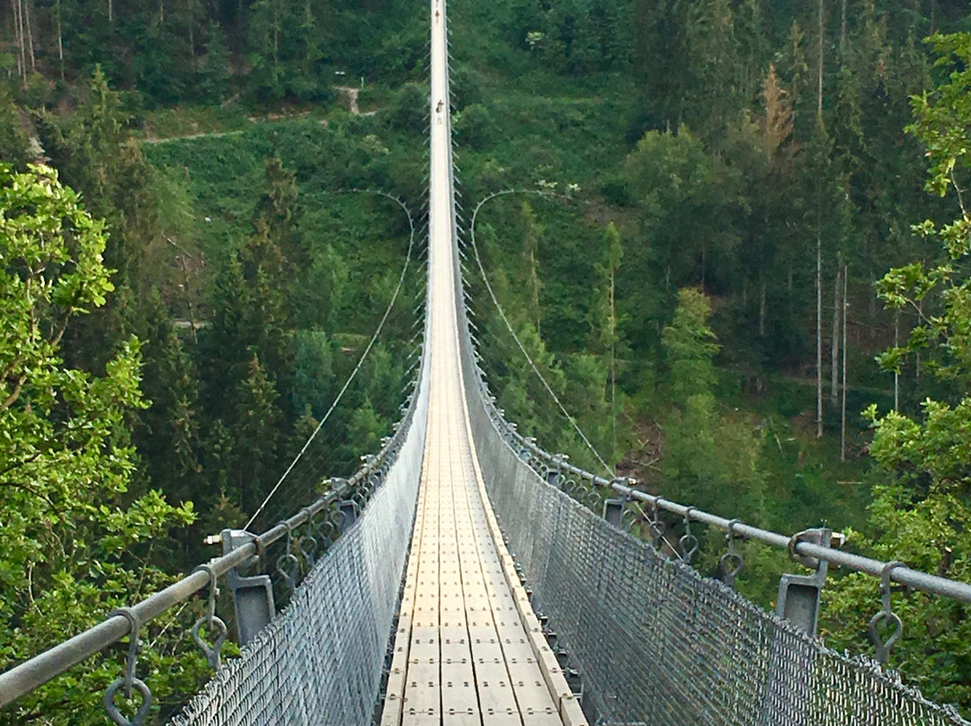 Hangeseilbrucke Geierlay-Moersdorf必去景点