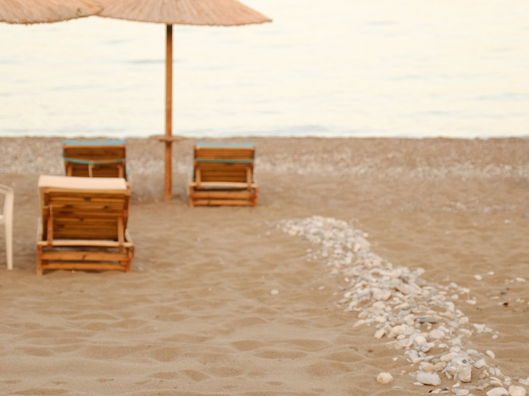 Alpha Stegna Sun主图