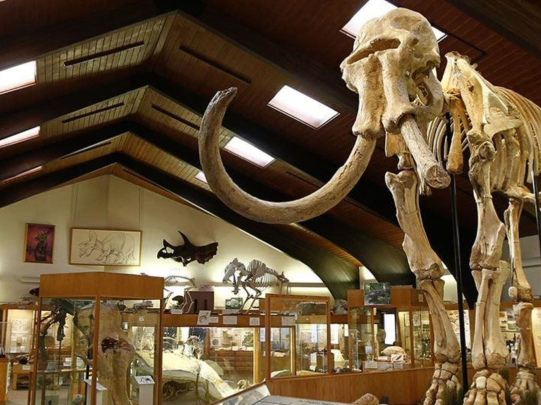 Holiday Inn Casper East - Medical Center by IHG主图