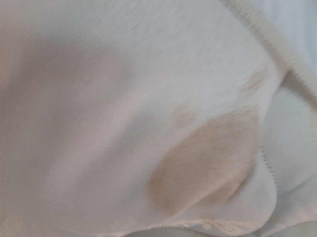 Super 8 by Wyndham Kamloops BC主图