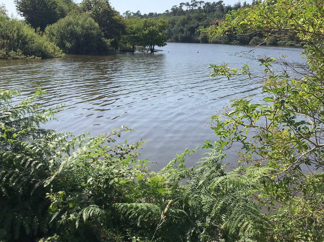 Lac du Jaunay景点图片