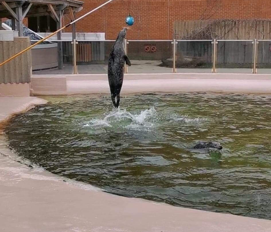 New Brunswick Aquarium and Marine Centre-Shippagan必去景点