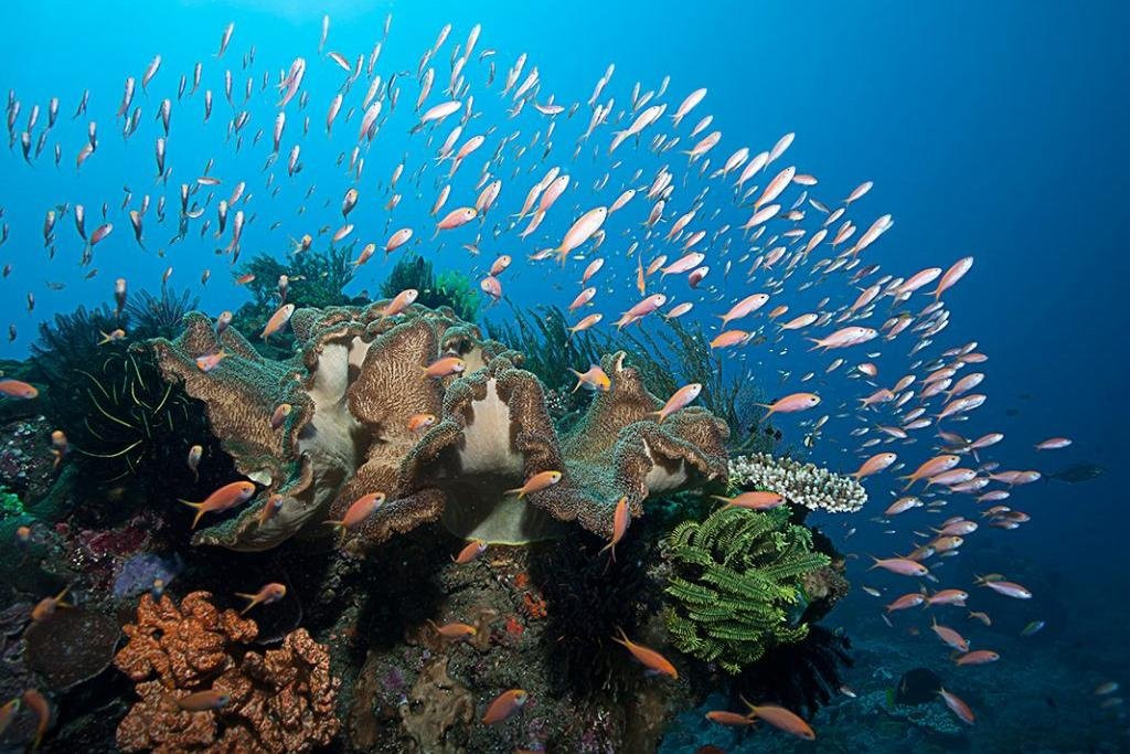 TripTravelindo-巴纽旺宣必去景点