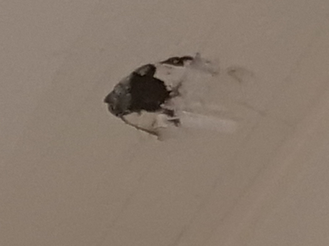 Anna Bella Motel主图